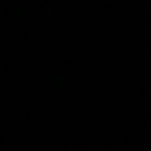 Meet your Posher, Lorie